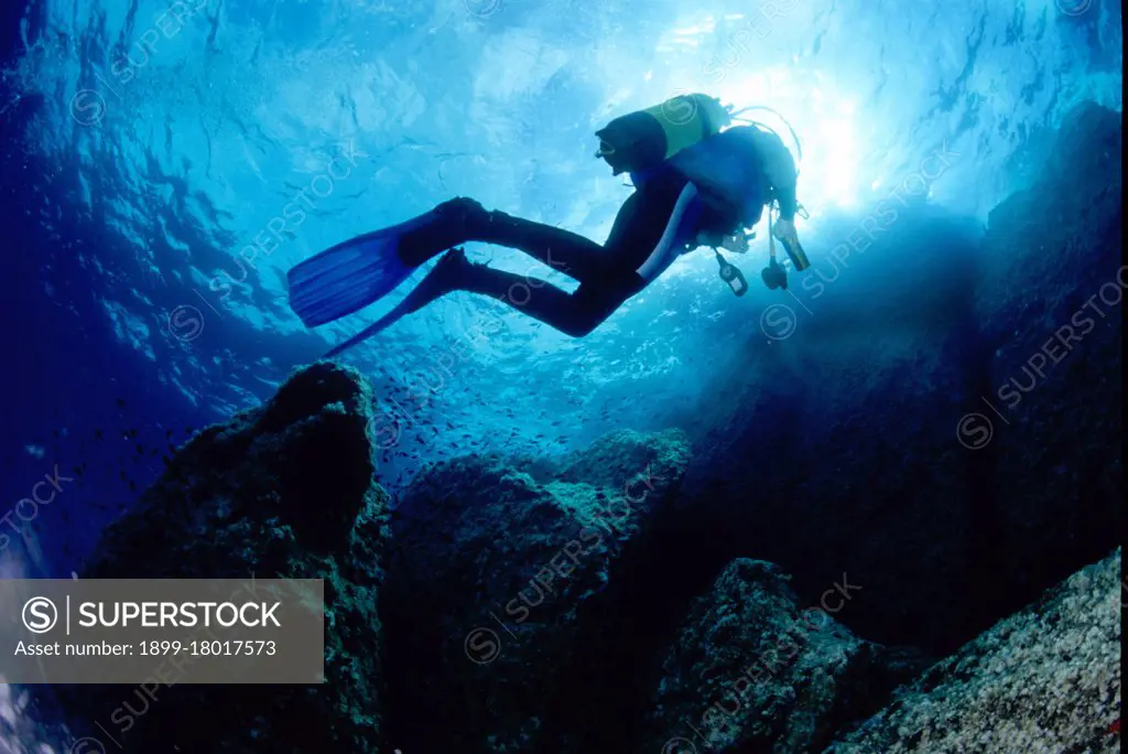 Sub. Ustica. Ustica island. Sicily. Italy. (Photo by: Giorgio Mesturini/REDA&CO/UIG)