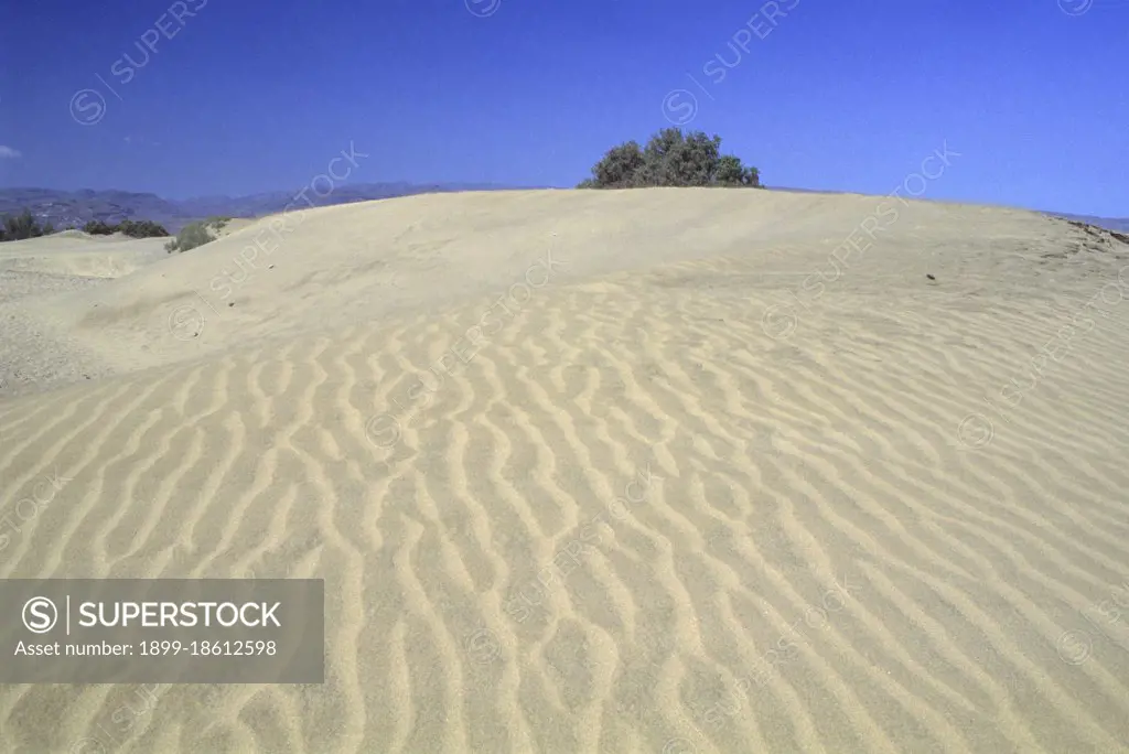 Dunes Of Maspalomas. Gran Canaria. Canary Islands. Spain. Europe