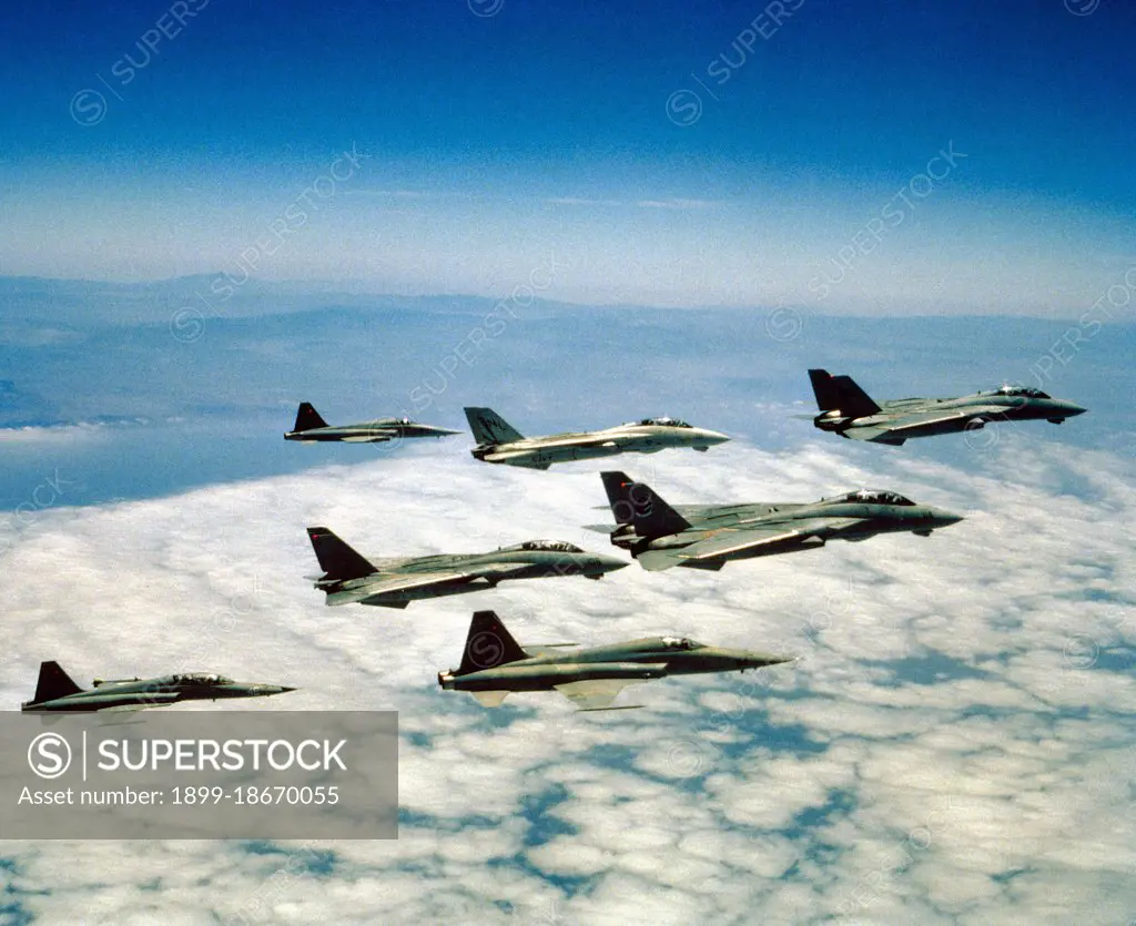 An air to air right side view of Fighter Squadron 51 (VF-51) and Fighter Squadron 111 (VF-111) F-14A Tomcat aircraft, F-5E Tiger II aircraft, and an F-5F Tiger II aircraft following a training session at China Lake Electronic Warfare Range..