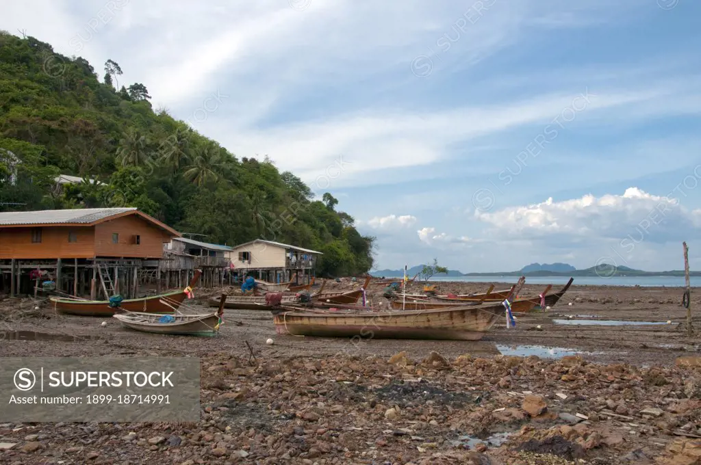 The Sea Gypsies’ or Moken of the Andaman Sea, known in Thai as chao thalae or people of the sea’, are divided into three groups. They number between 4,000 and 5,000, they live only on the coast, either in huts by the shore, or on craft that ply the coastal waters from the Mergui Archipelago in Burma to the Tarutao Islands in Southern Thailand. The largest Sea Gypsy group are the Urak Lawoi, numbering around 3,000. They live in simple shacks on beaches stretching south from Phuket to the Tarutao islands and make a living by fishing and beachcombing. Their two largest settlements are at Ko Sirey and Rawai in the southeast of Phuket island.