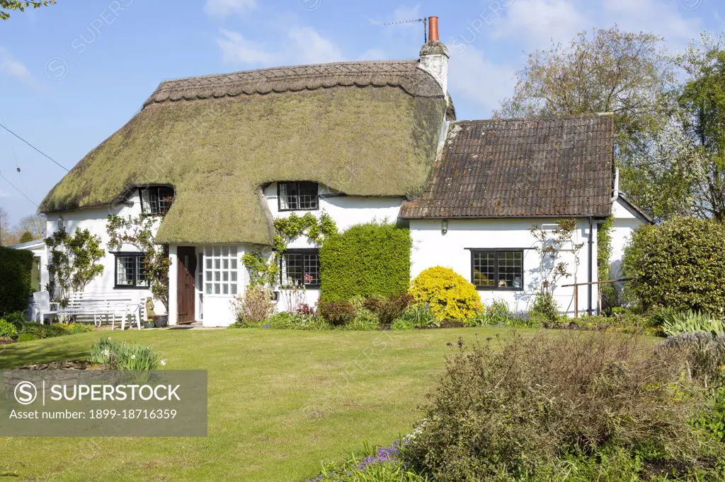 Pretty thatched whitewashed country cottage, Cherhill, Wiltshire, England, UK.