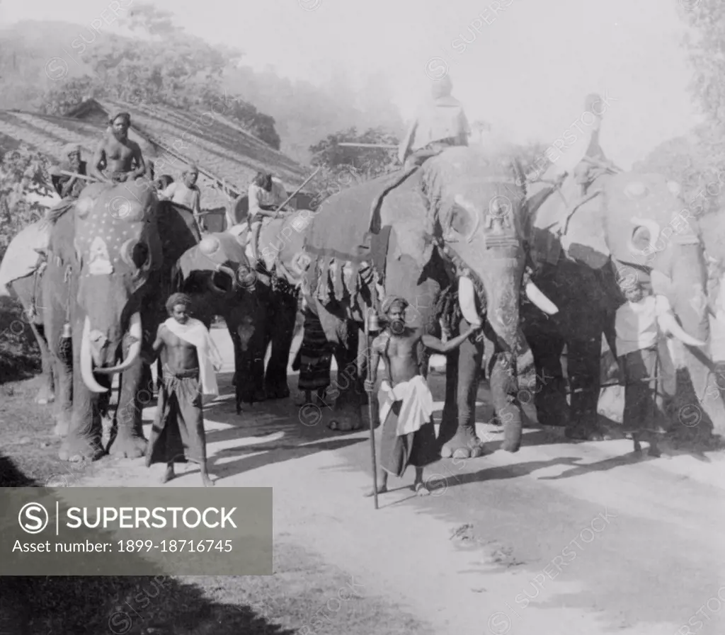 Esala Perahera (the Festival of the Tooth) is the grand festival of Esala held in Kandy in Sri Lanka every July or August. Known for its elegant costumes, it has become a unique symbol of Sri Lanka. It is a Buddhist festival consisting of dances and nicely decorated elephants. There are fire dances, whip dances, Kandian dances and various other cultural dances. Elephants are usually adorned with lavish garments. The Esala Perahera in Kandy is believed to be a fusion of two separate but interconnected 'Peraheras' (Processions) - The Esala and Dalada. The Esala Perahera which is thought to date back to the 3rd century BCE, was a ritual enacted to request the gods for rainfall. The Dalada Perahera is believed to have begun when the Sacred Tooth Relic of the Buddha was brought to Sri Lanka from India during the 4th Century CE. The Modern Perahera dates back to the reign of the Kandyan King Kirthi Sri Rajasinghe (1747 - 1781 CE). During these times, the Tooth Relic was considered private pr