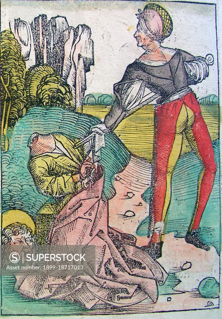 The Nuremberg Chronicle is an illustrated world history. Its structure follows the story of human history as related in the Bible; it includes the histories of a number of important Western cities. Written in Latin by Hartmann Schedel, with a version in German translation by Georg Alt, it appeared in 1493. It is one of the best-documented early printed books - an incunabulum (printed, not hand-written) - and one of the first to successfully integrate illustrations and text.