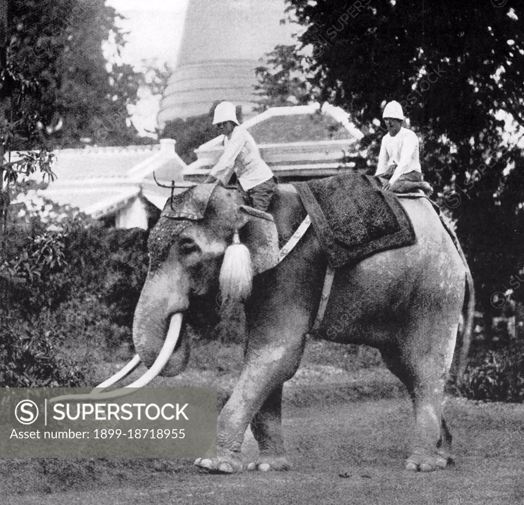 In the 19th century, the Asian Elephant held a prominent position in Siam,  although they were hunted regularly north of Ayutthaya and the Lao States  (present day, Chiang Mai province and Isan).