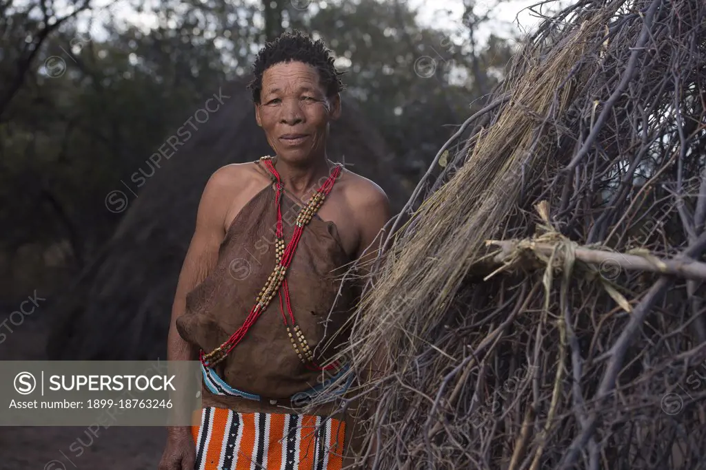 Portraits of People from the Bushmen Naro Tribe. Botswana is home to approximately 63,500 San people, which is roughly 2.8% of the country's population, making it the country with the highest population of San people. The San peoples (also Saan), or Bushmen, are members of various Khoe, Tuu, or Kxoa-speaking indigenous hunter-gatherer groups that are the first nations of Southern Africa. Botswana.