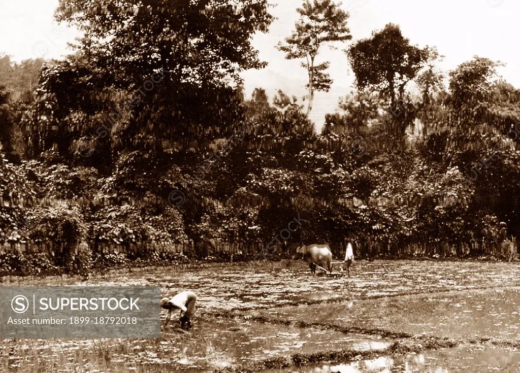 The British conquest of Burma began in 1824 in response to a Burmese attempt to invade India. By 1886, and after two further wars, Britain had incorporated the entire country into the British Raj. To stimulate trade and facilitate changes, the British brought in Indians and Chinese, who quickly displaced the Burmese in urban areas. To this day Rangoon and Mandalay have large ethnic Indian populations. Railways and schools were built, as well as a large number of prisons, including the infamous Insein Prison, then as now used for political prisoners. Burmese resentment was strong and was vented in violent riots that paralysed Rangoon on occasion all the way until the 1930s. Burma was administered as a province of British India until 1937 when it became a separate, self-governing colony. Burma finally gained independence from Britain on January 4, 1948.