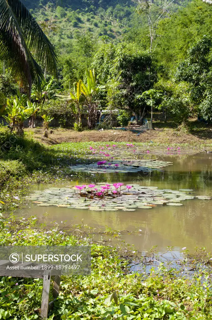 Loei (Thai: ) Province is located in Thailand's upper North-East. Neighboring provinces are (from east clockwise) Nong Khai, Udon Thani, Nongbua Lamphu, Khon Kaen, Phetchabun, Phitsanulok. In the north it borders Xaignabouli and Vientiane Provinces of Laos. The province is covered with low mountains, while the capital Loei is located in a fertile basin. The Loei River, which flows through the province, is a tributary of the Mekong which, together with the smaller Hueang River, forms the northern boundary of the province with neighboring Laos. Although temperatures in the hot season (April-May) can be more than 40 degrees Celsius, the province is the only one in Thailand where temperatures regularly drops below freezing at night in the cold season (December-January). Loei is rich in national parks, including especially Phu Kradung, Phu Ruea, Phu Suan Sai (also known as Na Haeo) and Phu Luang Wildlife Sanctuary. In 1853 King Mongkut (Rama IV) founded the city of Loei to administer the