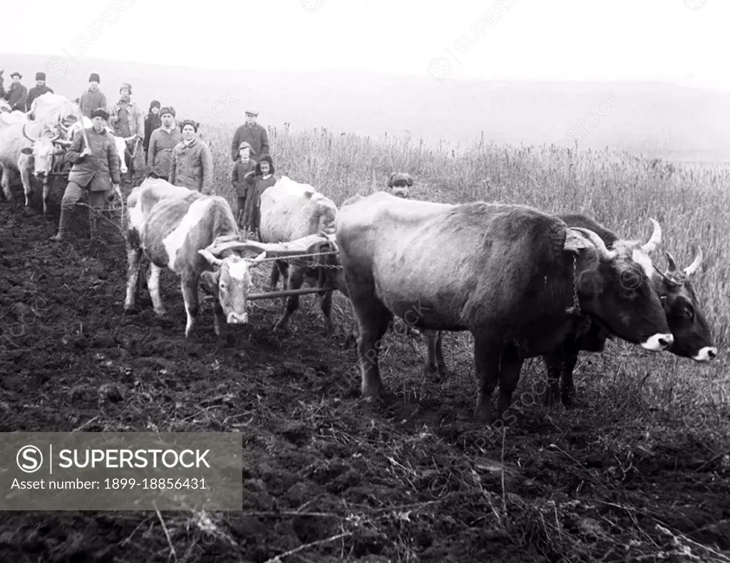 The Holodomor was a man-made famine in the Ukrainian Soviet Socialist Republic in 1932 and 1933 that killed an estimated 2.5-7.5 million Ukrainians, with millions more counted in demographic estimates. It was part of the wider disaster, the Soviet famine of 1932-33, which affected the major grain-producing areas of the country. During the Holodomor millions of citizens of the Ukrainian SSR, the majority of whom were ethnic Ukrainians, died of starvation in a peacetime catastrophe unprecedented in the history of Ukraine.Since 2006, the Holodomor has been recognized by the independent Ukraine and many other countries as a genocide of the Ukrainian people carried out by the Soviet Union.