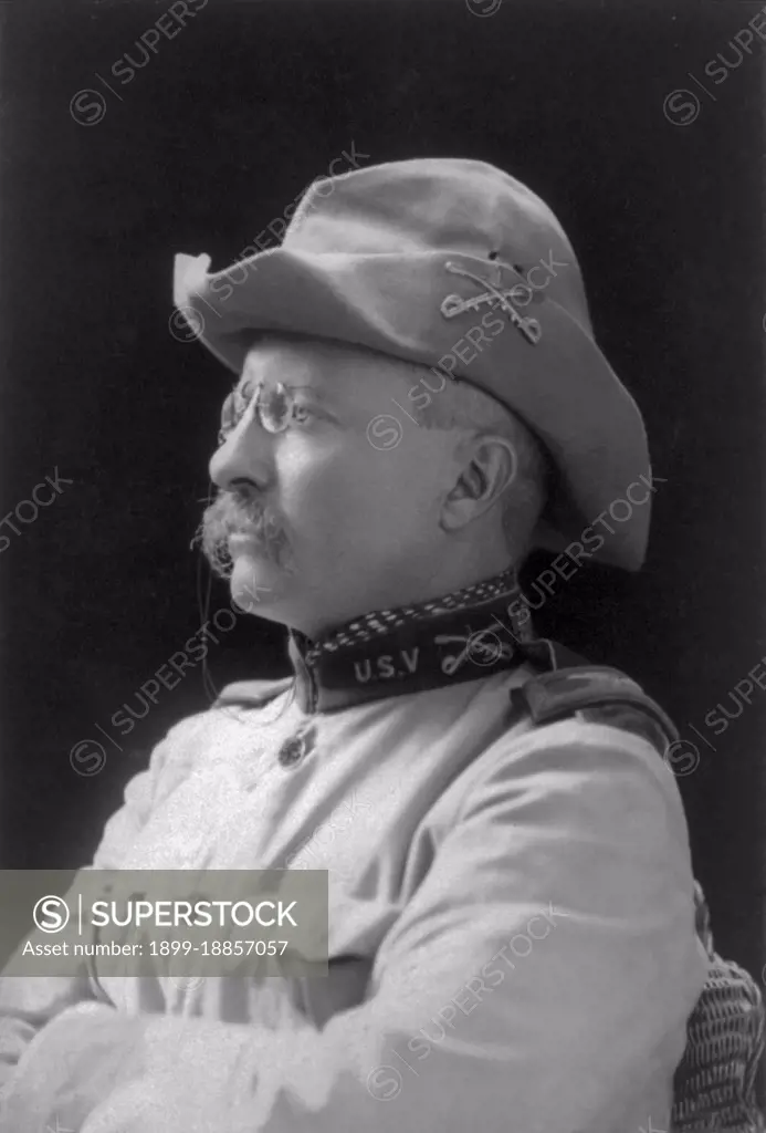 Theodore Roosevelt (October 27, 1858 - January 6, 1919), often referred to by his initials TR, was an American statesman, author, explorer, soldier, naturalist, and reformer who served as the 26th President of the United States. A leader of the Republican Party, he was a leading force of the Progressive Era. He served as Assistant Secretary of the Navy under William McKinley, resigning after one year to serve with the First US Voluntary Cavalry Regiment or 'Rough Riders', gaining national fame for courage during the War in Cuba. During World War I, he opposed President Wilson for keeping the US out of the war against Germany, and offered his military services, which were never summoned. Although he planned to run again for president in 1920, his health quickly deteriorated, and he died in early 1919. Roosevelt has consistently been ranked by scholars as one of the greatest US Presidents. His face adorns Mount Rushmore alongside Washington, Jefferson, and Lincoln.