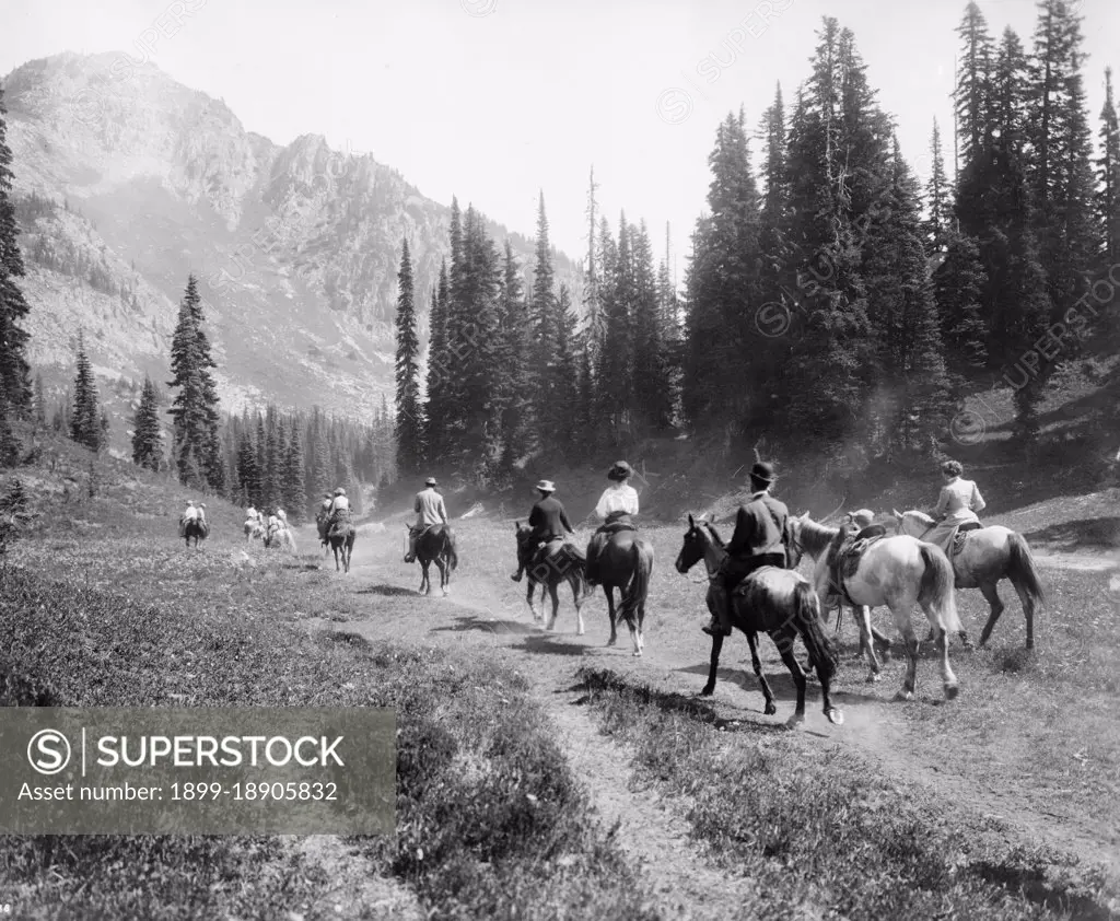 Horseback riders on the trail of Indian Henry's, Mt. Rainier National Park, Washington ca. 1909.