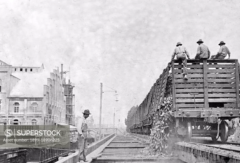 Food Administration sugar, unloading beets from cars, Oxnard, California, factory ca.  between 1910 and 1920.