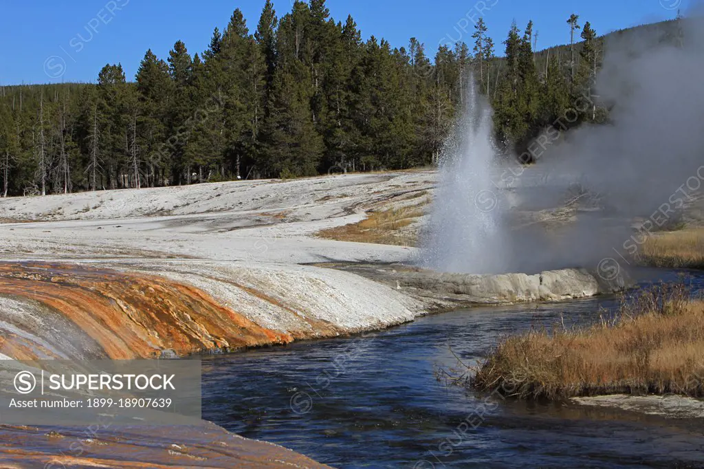 Cliff Geyser in Black Sand Geyser Basin ; Date:  24 October 2013.