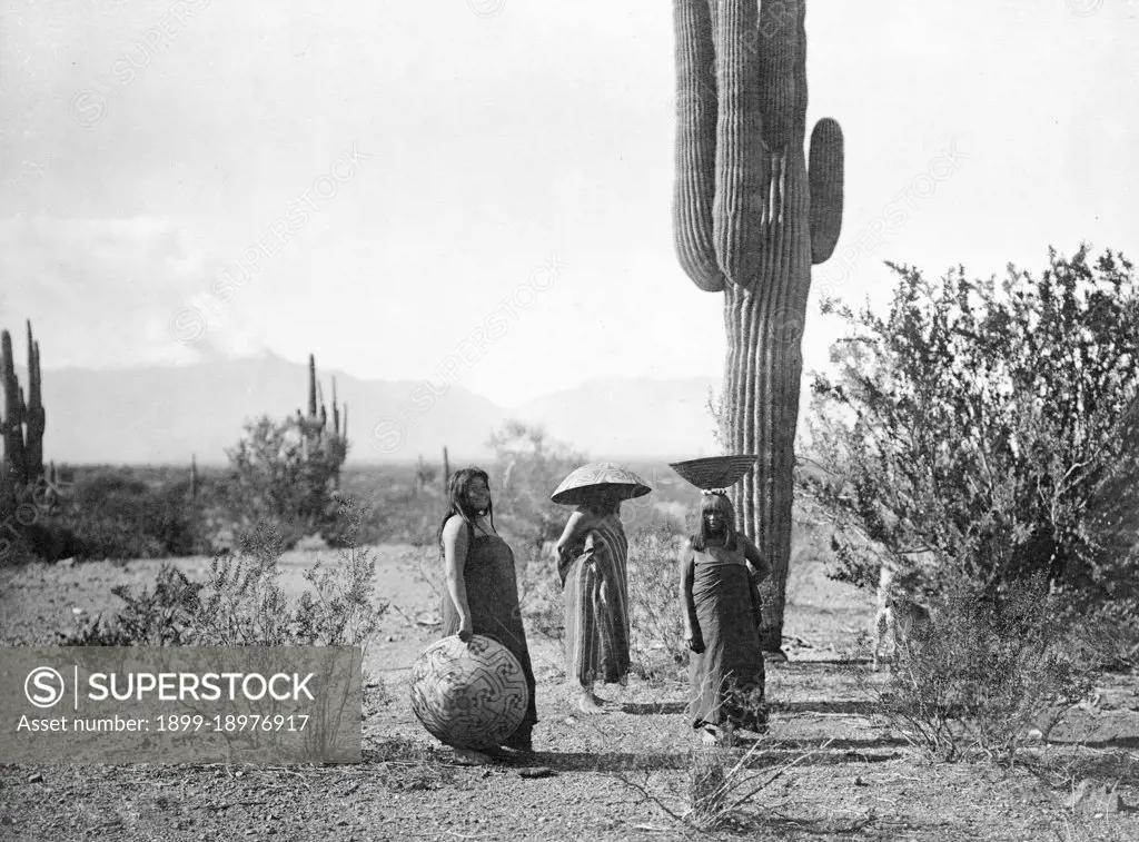 Three women, two of them with baskets on their heads, standing by cactus plant, Arizona. 