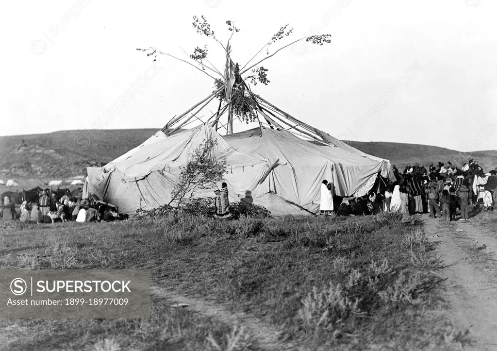 Edward S. Curtis Native American Indians - Sun dance in progress--Cheyenne Indians ca. 1910. 