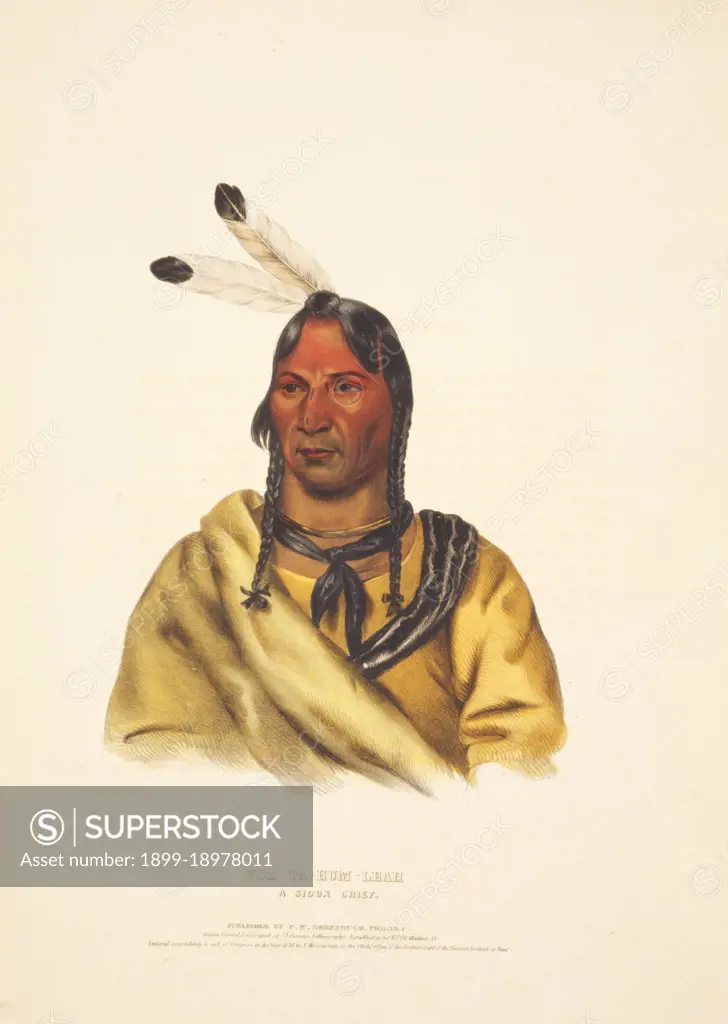 Esh-Ta-Hum-Leah, a Sioux chief. 