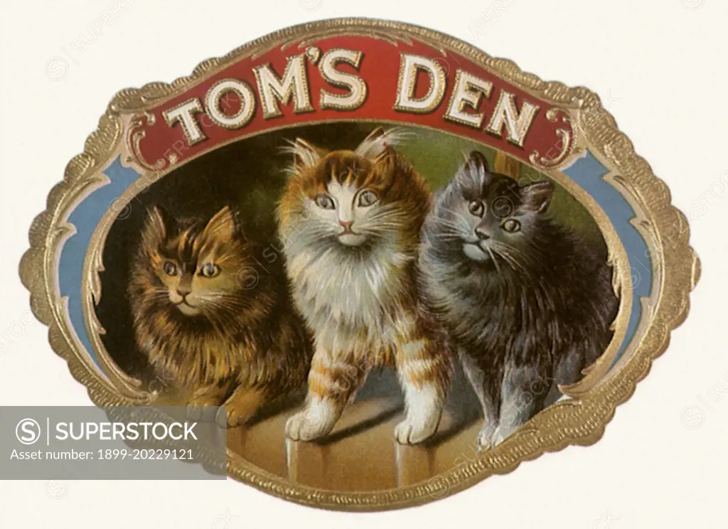 Tom's Den Cigar Label with Cats. 