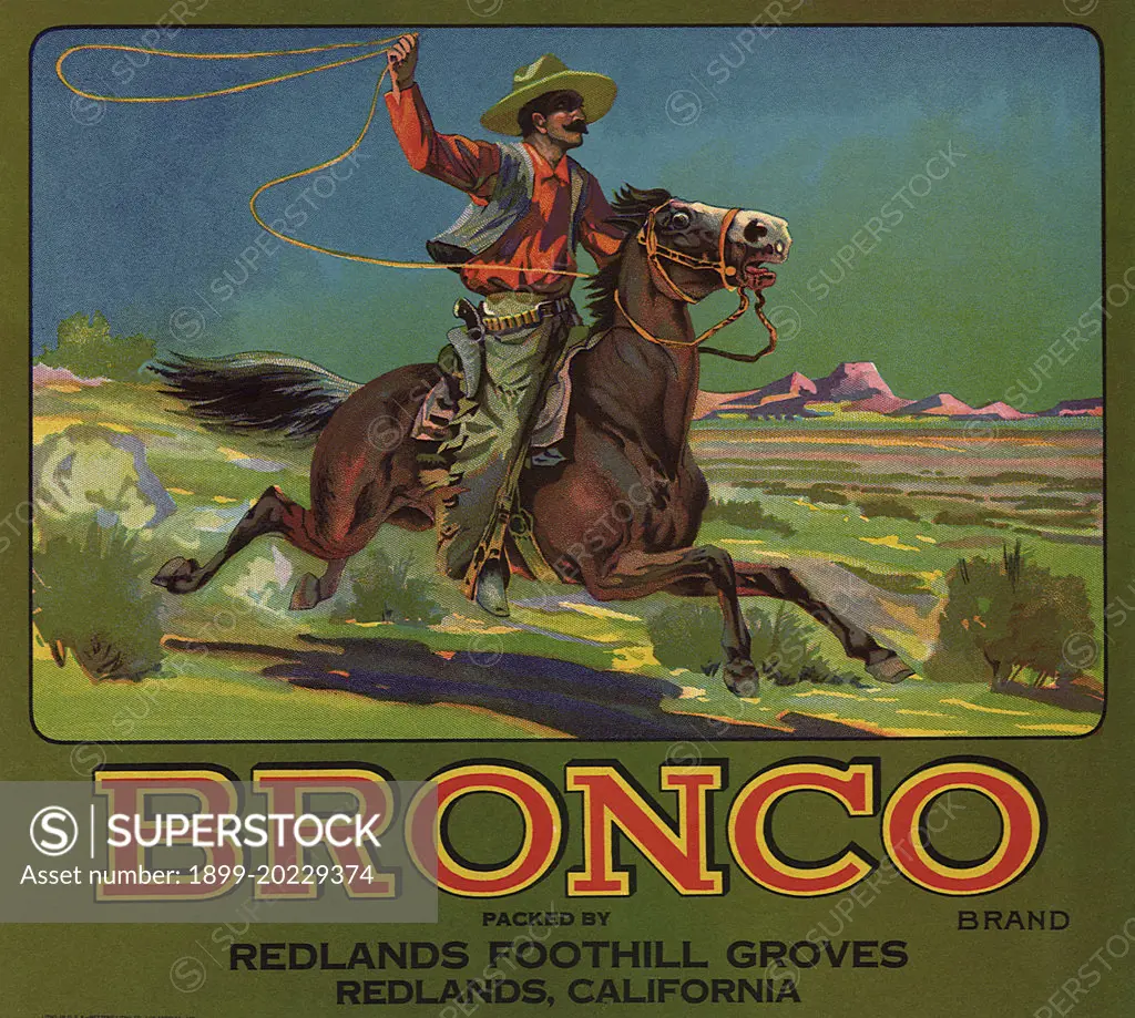 Bronco Cowboy with Lasso on horseback. 