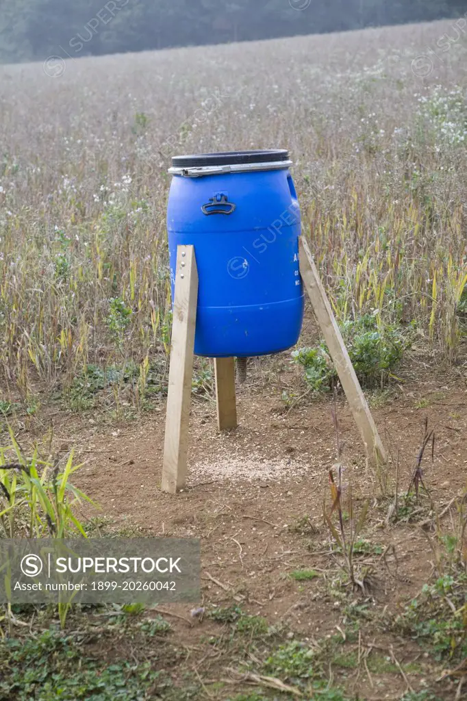 Blue barrel tripod bird feeder in field, Ramsholt, Suffolk, England