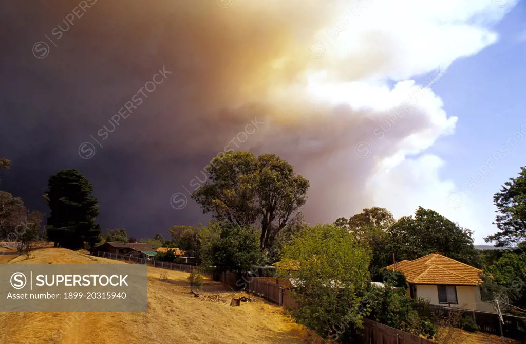 Bushfire  from suburb of Ainslie, 18 Janury 2003, Canberra, Australian Capital Territory, Australia, 18 January 2003