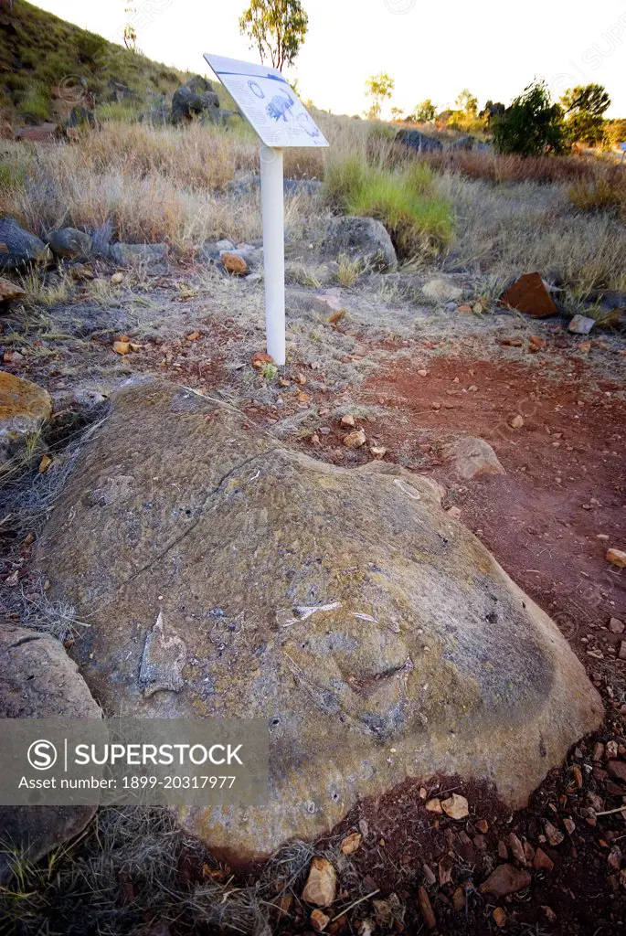 Mammals fossil field, one of the worlds most significant fossil deposits.   Its fossils are from the late Oligocene period, dating back 25 million years, and include turtles, fish, snails, crocodiles, lizards, pythons, dromornithid birds, thylacines, diprotodontids, many types of kangaroos, palorchestes and bats.  Riversleigh Section, Boodjamulla National Park, northwest, Queensland, Australia