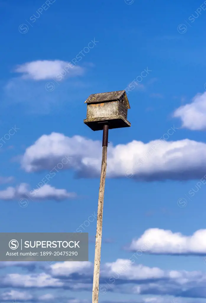 A birdhouse on a tall pole.  