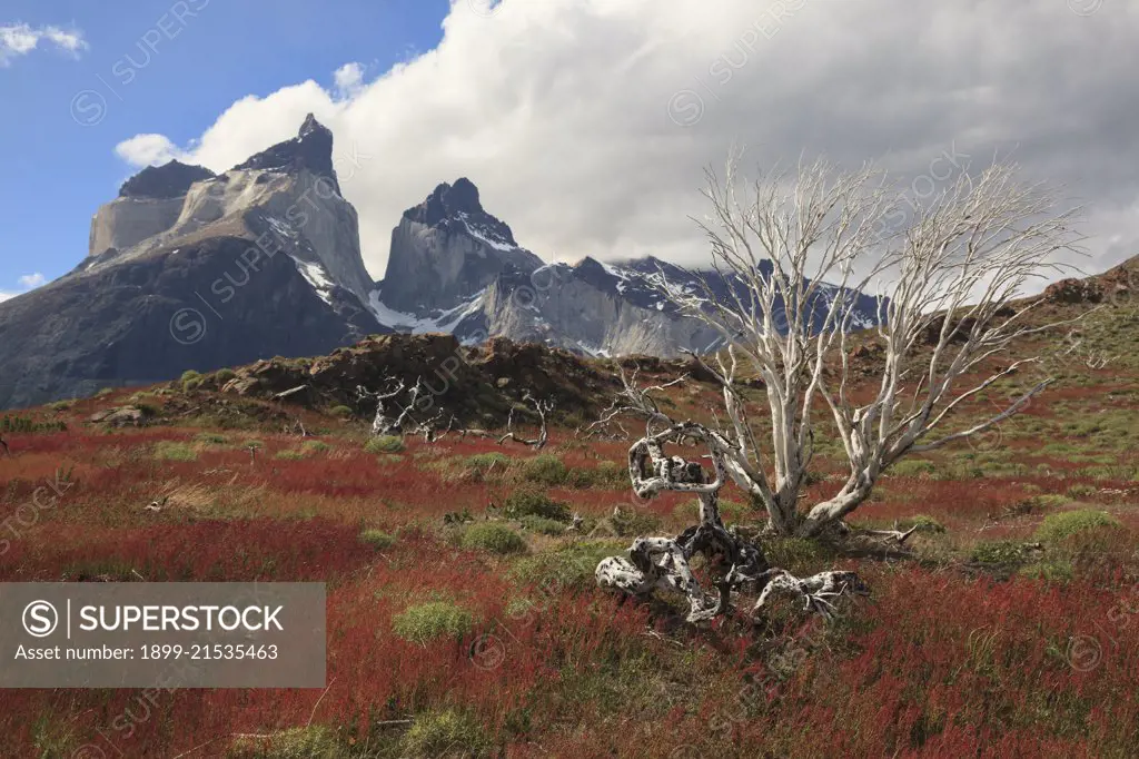 Torres del Paine National Park, Patagonia, Chile. 