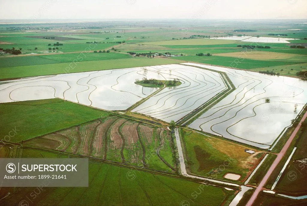 Rice paddies near Griffith in the Murrumbidgee Irrigatin Area, Australia. Rice paddies near Griffith in the Murrumbidgee Irrigatin Area - inland New South Wales, Australia. Modern irrigated farming methods have made Australian rice competitive, but irrigation has also caused groundwater and salination problems and deprives rivers of ecological flows.