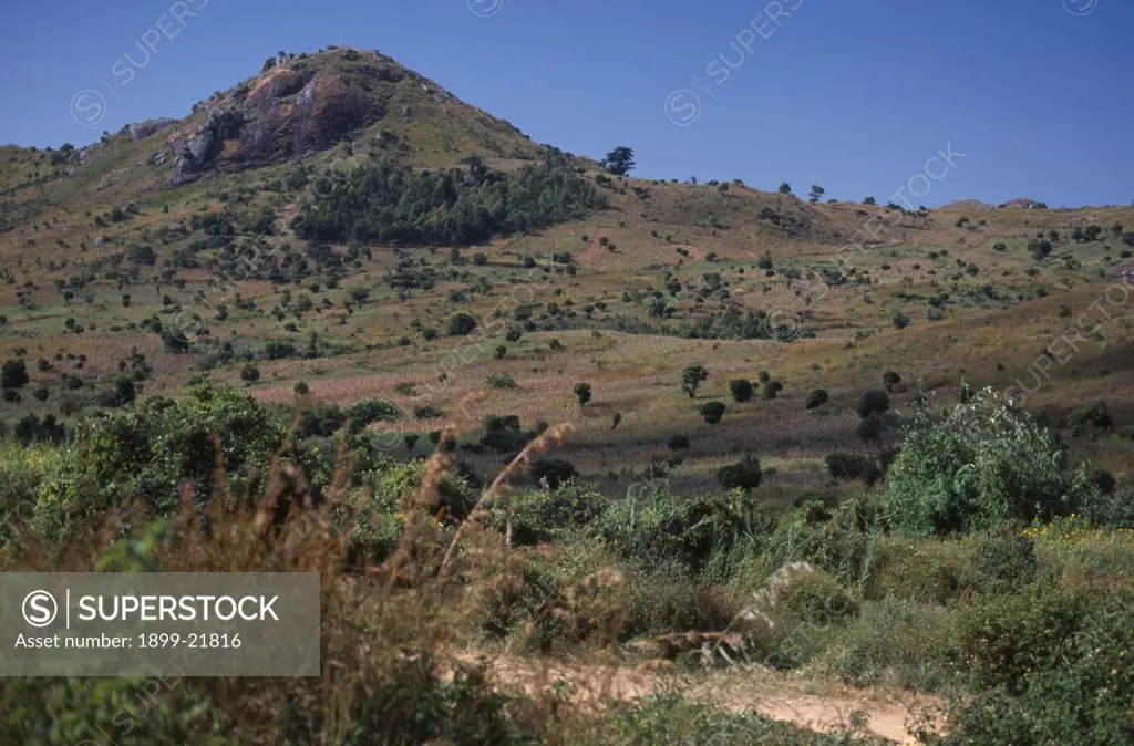 MALAWI Blantyre-Lilongw. Area of deforestation on the Mozambique border..  