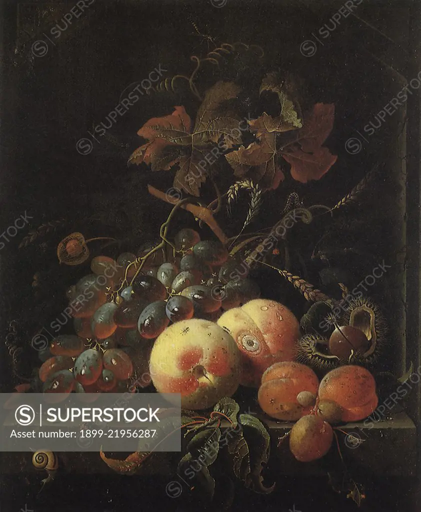 Fruit Still Life with Peaches, Grapes & Apricots, 1675. Mignon, Abraham.