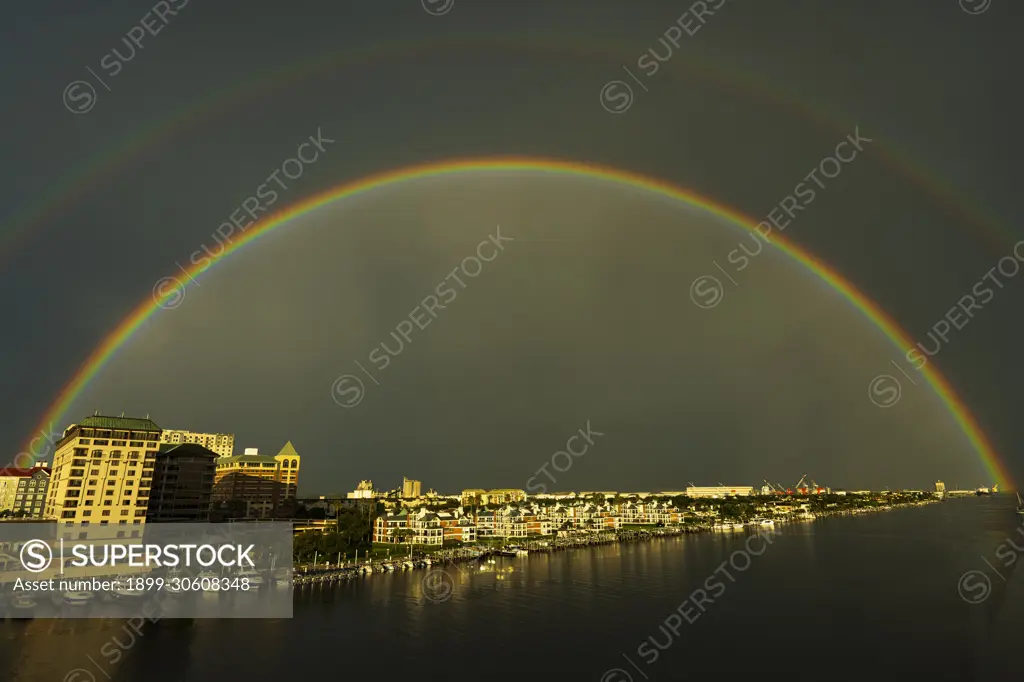 Rainbow tampa deals fl