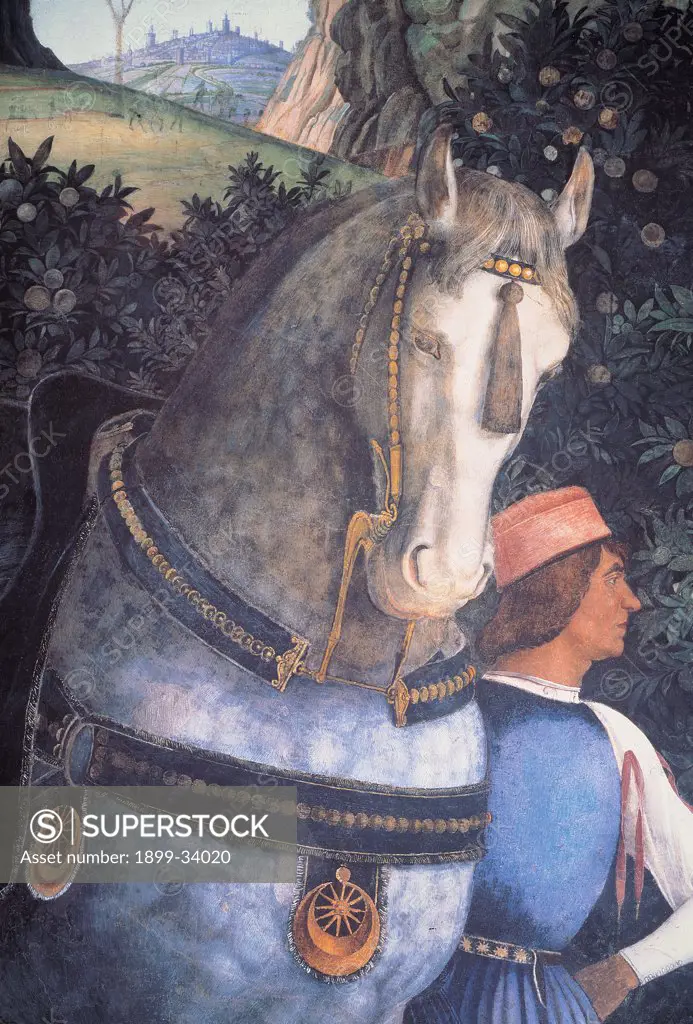 Decoration of the Camera degli Sposi (Camera Picta), by Mantegna Andrea, 1465 - 1474, 15th Century, fresco and dry tempera. Italy: Lombardy: Mantua: Ducal Palace. West wall. The meeting between Ludovico Gonzaga and his sons, Francesco and Federico. Left episode. Detail. A servant with the light blue/azure horse
