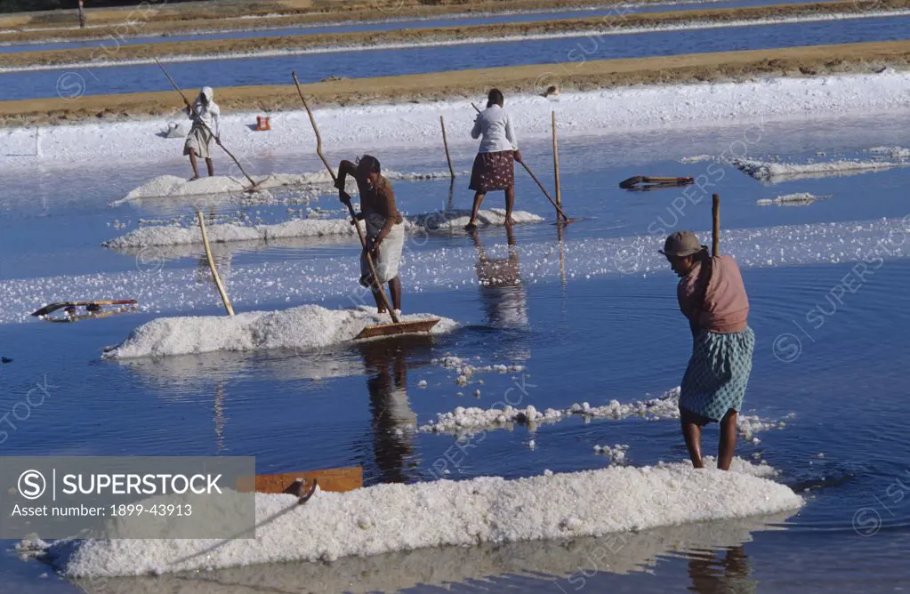 SALT PANS, SRI LANKA. Vicinity Hambantota. . 