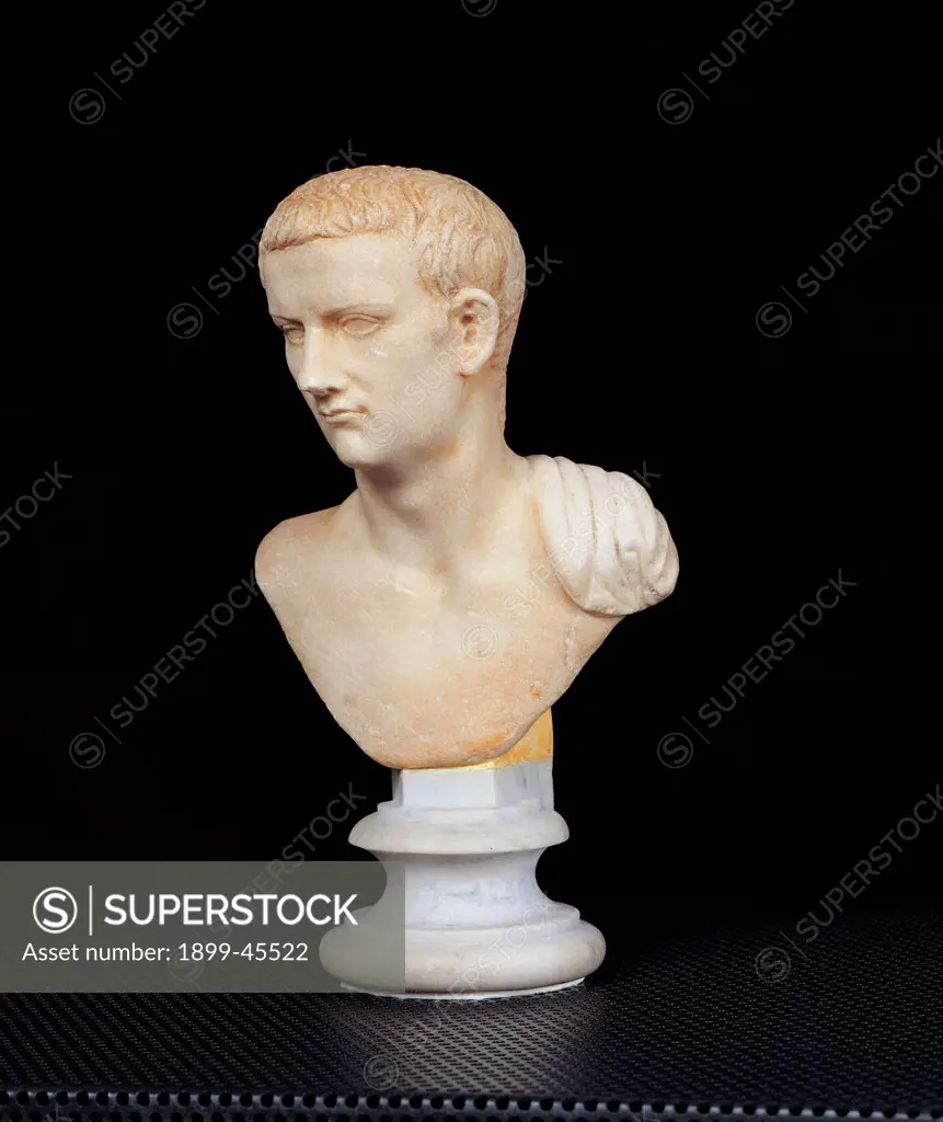 Small Bust of Emperor Caligula, by Unknown artist, 37 - 41,, Luni Marble. Italy. Lazio. Rome. Palazzo Massimo alle Terme. Sala IV - inv. 4256. Whole artwork. Small bust of Emperor (Caligula) view from the right. From the Tiber, towards Via Giulia. State of preservation of the portrait is undamaged. At its discovery showed polychromy traces