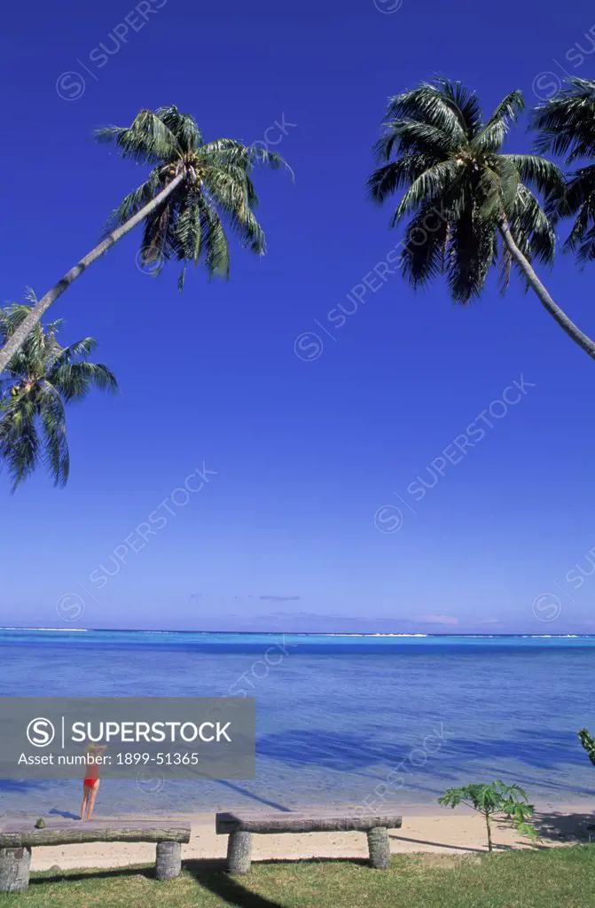 French Polynesia. Tahiti. Moorea.