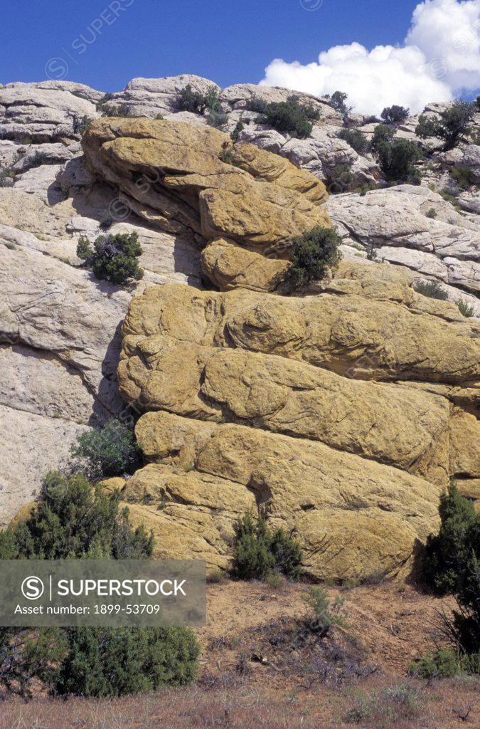 Colorado. Dinosaur National Monument - SuperStock