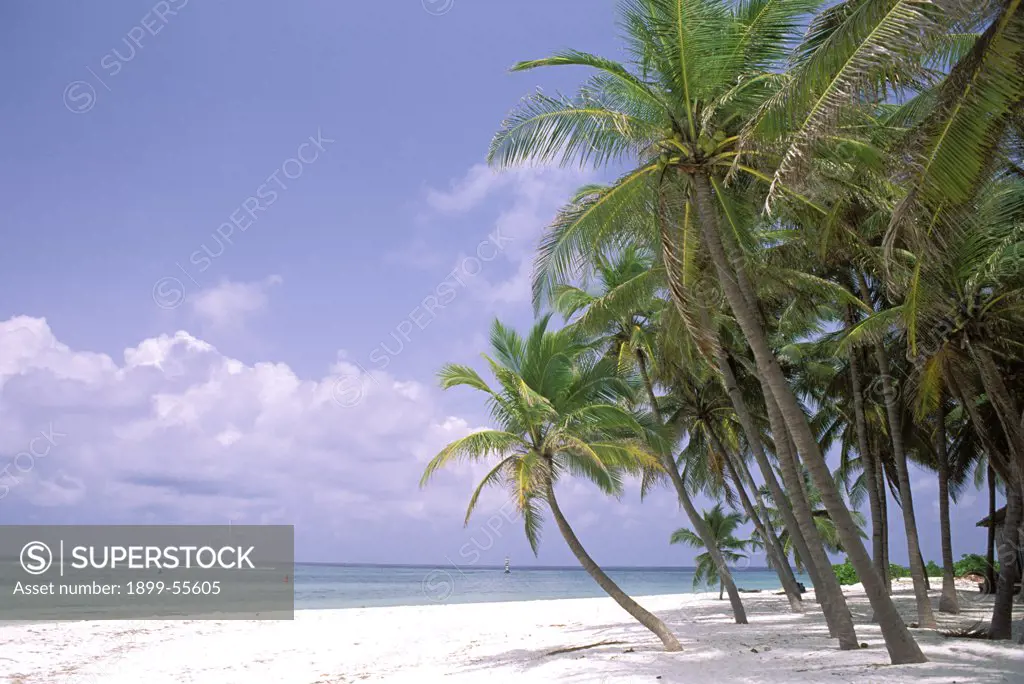 India, Lakshadweep, Off Kerala Coast. Kavaratti Island. Archipelago Of 36 Islands, North Of Maldives