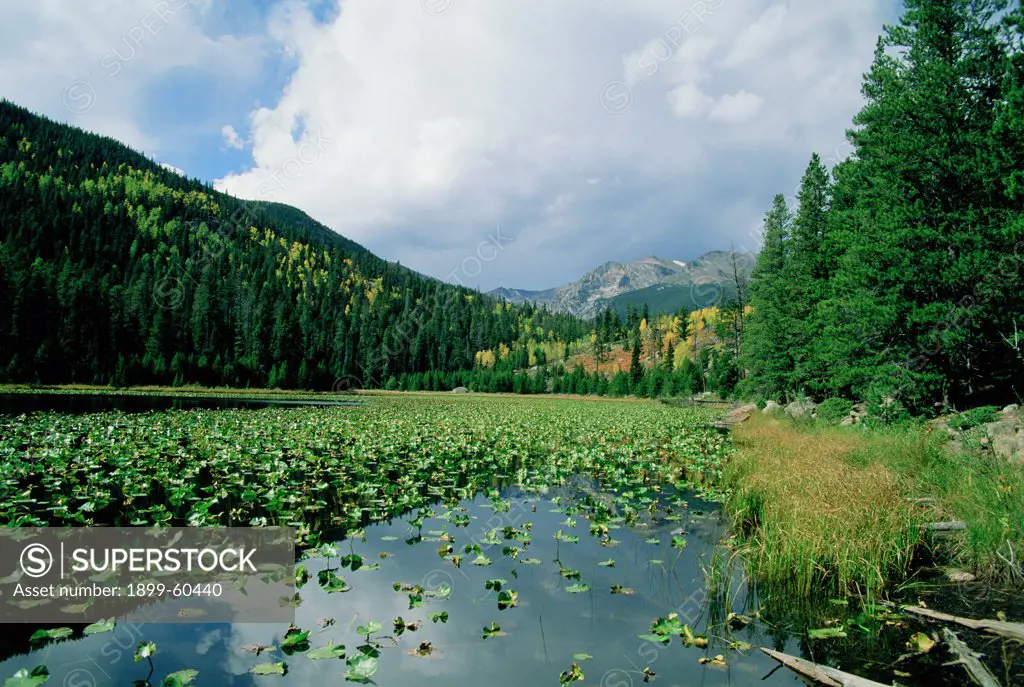 Colorado. Rocky Mountain National Park. Cub Lake