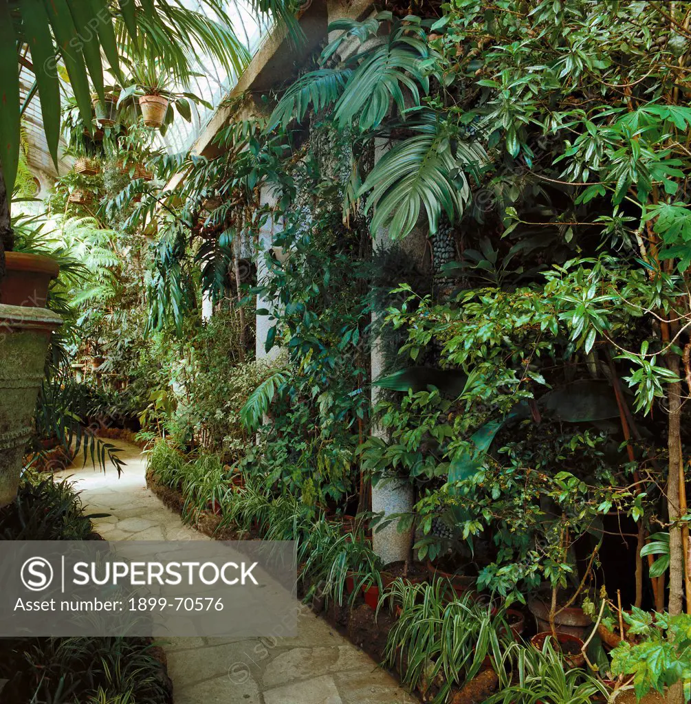 Italy, Lombardy, Isola Bella, Borromeo Gardens. Detail. A path inside a glasshouse.