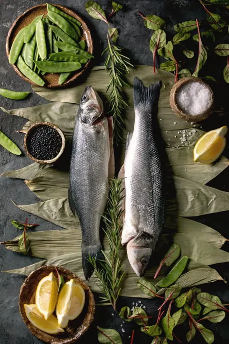 Raw fresh uncooked fish sea bass on dry bamboo leaves ready to cook with lemon. sea salt. black and green beans. green salad over dark texture concrete background. Flat lay. space