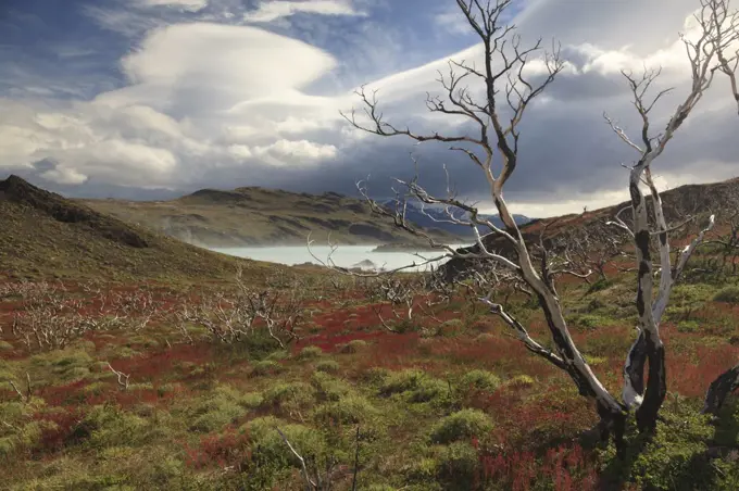 Lake, Torres Del Paine National Park, Chile