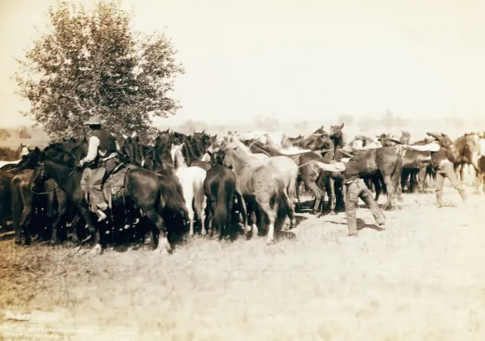 Roping and changing scene at --T Camp on round up of --T. 999 --S. & G., A.U.T. and others on Cheyenne River 1887-1892.