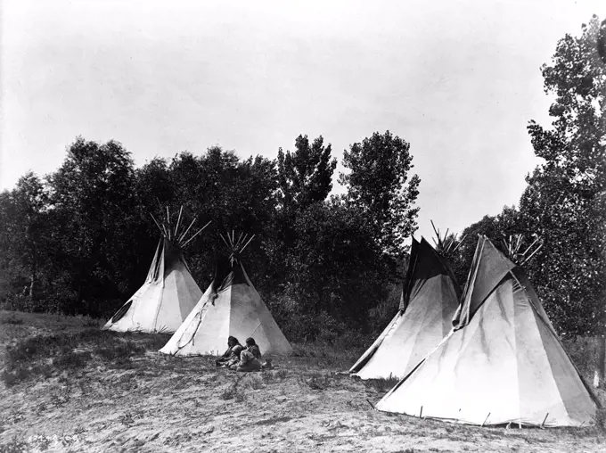 Edward S. Curtis Native American Indians - An Assiniboin camp containing four tepees with Indians seated on ground circa 1908.