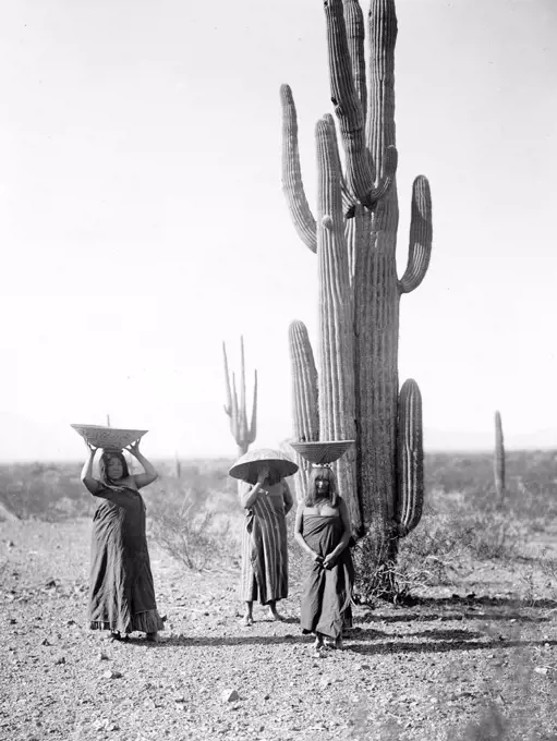 Edward S. Curits Native American Indians - Three Maricopa Indian women with baskets on their heads, standing by Saguaro cacti, gathering fruit circa 1907.