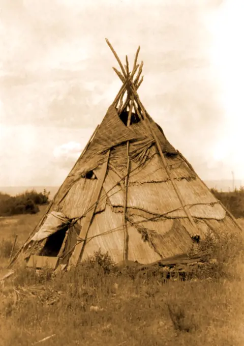 Edward S. Curits Native American Indians - Photograph shows reed mat covered tepee in grassy field, Washington circa 1910.