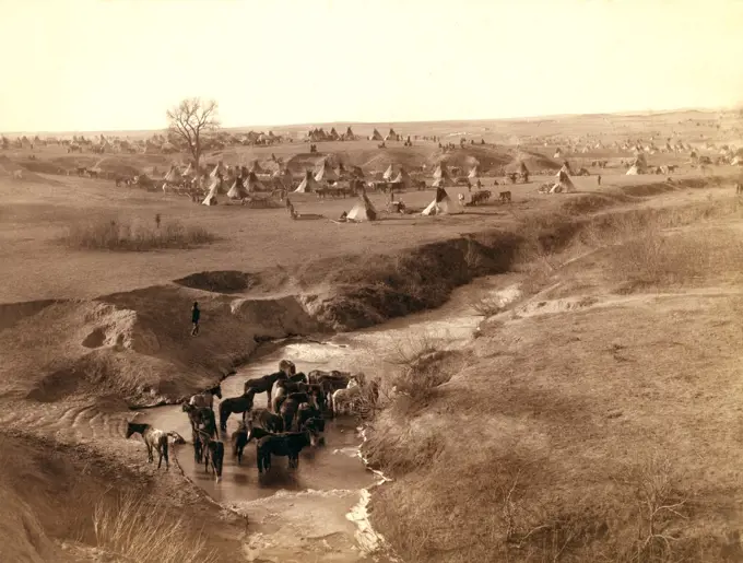 A Lakota tipi camp in background; horses at a White Clay Creek watering hole in foreground. .