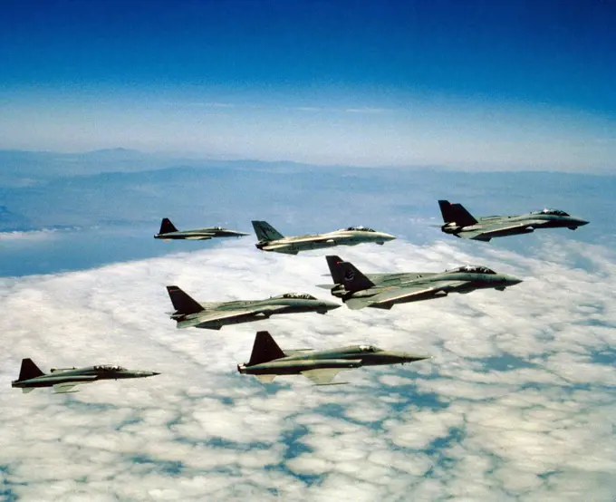 An air to air right side view of Fighter Squadron 51 (VF-51) and Fighter Squadron 111 (VF-111) F-14A Tomcat aircraft, F-5E Tiger II aircraft, and an F-5F Tiger II aircraft following a training session at China Lake Electronic Warfare Range..