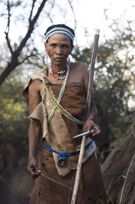 Portraits of People from the Bushmen Naro Tribe. Botswana is home to approximately 63,500 San people, which is roughly 2.8% of the country's population, making it the country with the highest population of San people. The San peoples (also Saan), or Bushmen, are members of various Khoe, Tuu, or Kxoa-speaking indigenous hunter-gatherer groups that are the first nations of Southern Africa. Botswana.