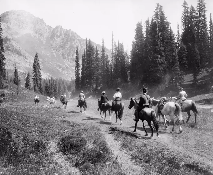 Horseback riders on the trail of Indian Henry's, Mt. Rainier National Park, Washington ca. 1909.