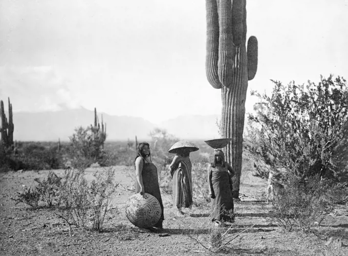 Three women, two of them with baskets on their heads, standing by cactus plant, Arizona. 