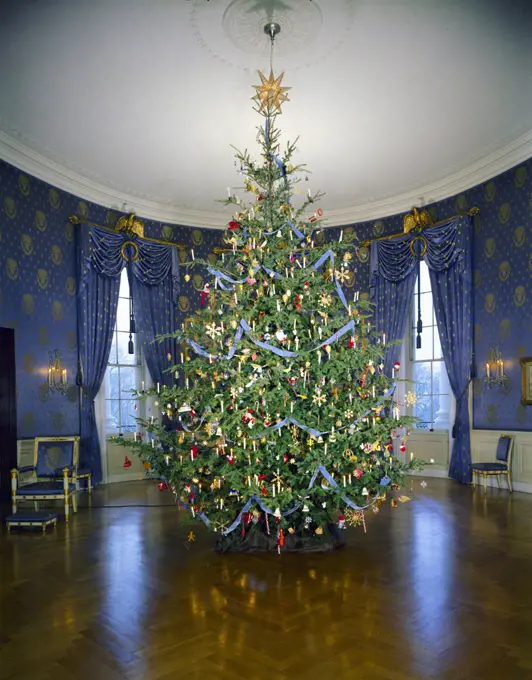 Large Christmas tree in the Blue Room of the Kennedy White House in December 1961. 